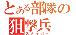 とある部隊の狙撃兵（スナイパー）