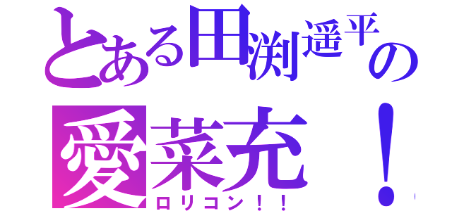 とある田渕遥平の愛菜充！（ロリコン！！）