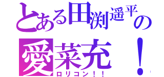 とある田渕遥平の愛菜充！（ロリコン！！）