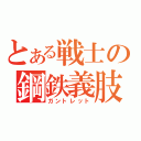 とある戦士の鋼鉄義肢（ガントレット）