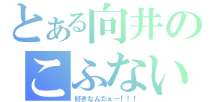 とある向井のこふない（好きなんだぁー！！！）