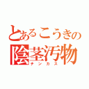 とあるこうきの陰茎汚物（チンカス）