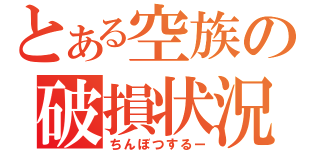 とある空族の破損状況（ちんぼつするー）