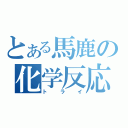 とある馬鹿の化学反応（トライ）