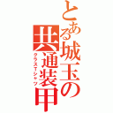 とある城玉の共通装甲（クラスＴシャツ）