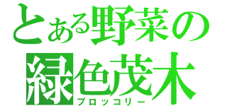 とある野菜の緑色茂木（ブロッコリー）