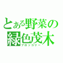 とある野菜の緑色茂木（ブロッコリー）