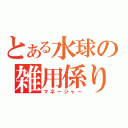 とある水球の雑用係り（マネージャー）