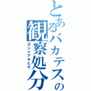 とあるバカテスの観察処分者（ヨシイアキヒサ）