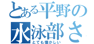 とある平野の水泳部さ（とても懐かしい）