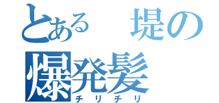 とある 堤の爆発髪（チリチリ）