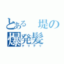 とある 堤の爆発髪（チリチリ）