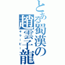 とある蜀漢の趙雲子龍（キラービー）