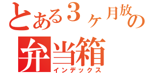 とある３ヶ月放置の弁当箱（インデックス）