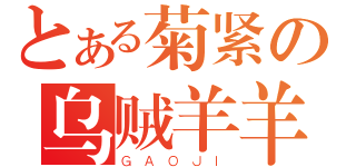 とある菊紧の乌贼羊羊（ＧＡＯＪＩ）