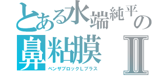 とある水端純平の鼻粘膜Ⅱ（ベンザブロックＬプラス）