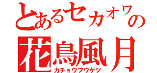 とあるセカオワの花鳥風月（カチョウフウゲツ）