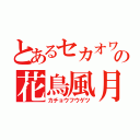 とあるセカオワの花鳥風月（カチョウフウゲツ）