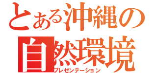 とある沖縄の自然環境（プレゼンテーション）