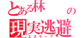 とある林    の現実逃避（エスケープ）