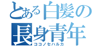 とある白髪の長身青年（ココノセハルカ）