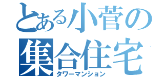 とある小菅の集合住宅（タワーマンション）