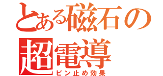 とある磁石の超電導（ピン止め効果）