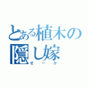 とある植木の隠し嫁（せーか）