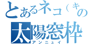 とあるネコ（キジ）の太陽窓枠（アンニュイ）