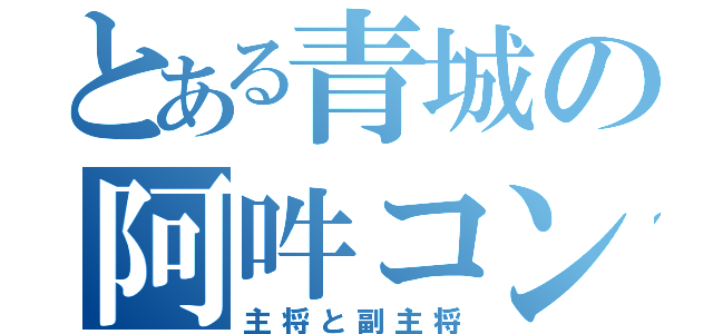 とある青城の阿吽コンビ（主将と副主将）