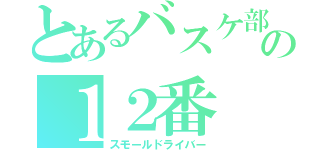 とあるバスケ部の１２番（スモールドライバー）