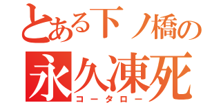 とある下ノ橋の永久凍死（コータロー）