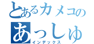 とあるカメコのあっしゅ（インデックス）