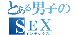 とある男子のＳＥＸ（インデックス）