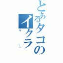 とあるタコのイクラ（ウニ）