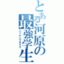 とある河原の最強学生（ハッケンブチョウ）