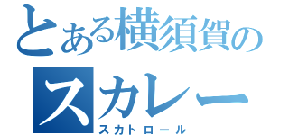 とある横須賀のスカレー（スカトロール）