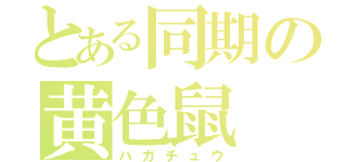 とある同期の黄色鼠（ハガチュウ）