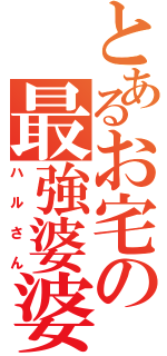 とあるお宅の最強婆婆（ハルさん）