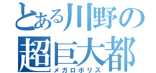 とある川野の超巨大都市（メガロポリス）