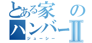 とある家のハンバーグⅡ（ジューシー）