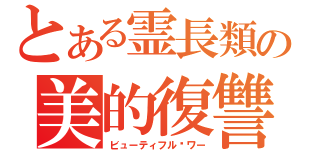 とある霊長類の美的復讐（ビューティフル·ワー）