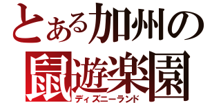 とある加州の鼠遊楽園（ディズニーランド）