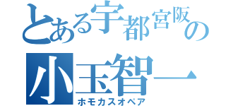 とある宇都宮阪の小玉智一な（）（ホモカスオペア）