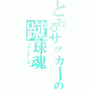 とあるサッカー馬鹿の蹴球魂（（＊／▽＼＊））