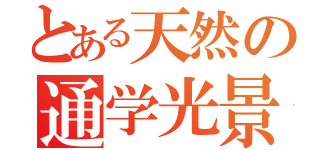 とある天然の通学光景禁書目録（）