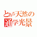 とある天然の通学光景禁書目録（）