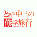 とある中三の修学旅行（シュウガクリョコウ）