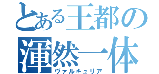 とある王都の渾然一体（ヴァルキュリア）