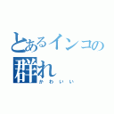 とあるインコの群れ（かわいい）